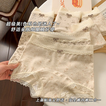 纯棉内裤女蕾丝平角裤打底10A纯棉抑菌加长裆纯欲风中腰大码批发