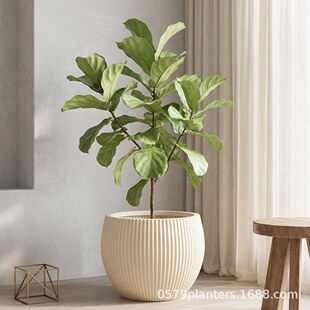 �羳�N�˴��l��̖��ػ����ߴ�@ˇ�����Gֲ�ٻ��b����ϻ���