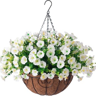 ���R�d���滨ֲ���r�����Ȼ��ٻ��ڒ���@�������ϾGֲ�ȼ����b�