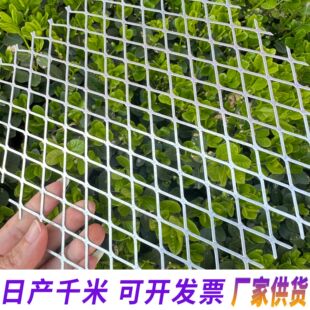 ��ƽ䓰����ξW�̈�����b�䓰�W���������_̤���оWƬ�S���X��