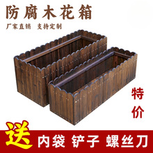 ����ľ��������L�����̨����Nֲ�仨�ی�ľ�ř�ͥԺ�N����