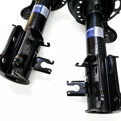 damping system Light Front Shock Absorber, Renegade