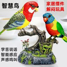 �����B���늄�������܌W��������B��ͯ����С�B����������