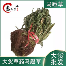 �R�Ų��^���߀ꖲ��R�Ų�1000g�r�aƷ���ӹ�Ҏ���Rȫ ɢ�b�R�Ų�