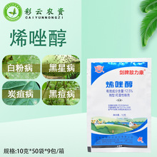 ���Ɣ�����ϩ��12.5%�׷۲����ǲ����Ѻڶ���̿�Ҳ��rș������