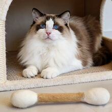 纯手工猫咪玩具羊毛毡棉签逗猫棒磨牙洁齿自嗨玩具解闷嗅闻玩具