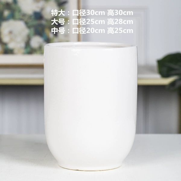 Flat -colored white C model+plastic tray