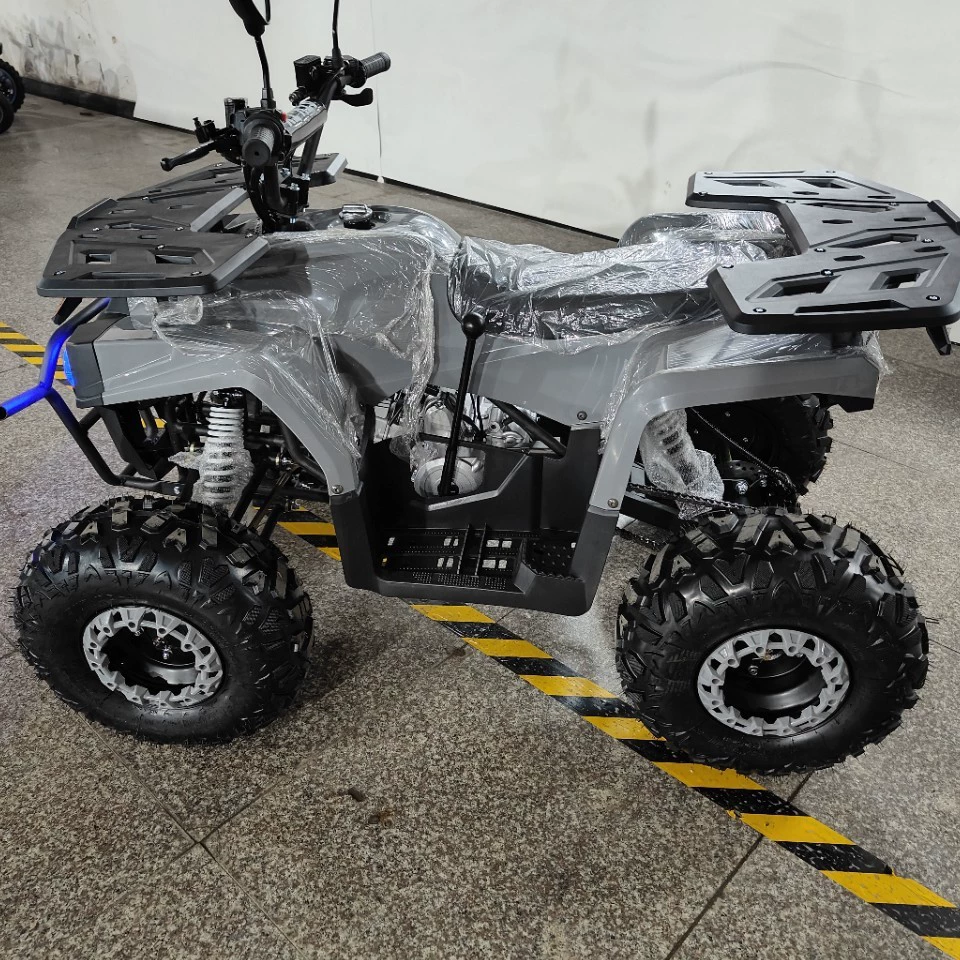 Sirius 110,125cc всесезонный внедорожник ATV четырёхколёсный бензиновый офф-роад мотоцикл живописный пляжный автомобиль горный велосипед