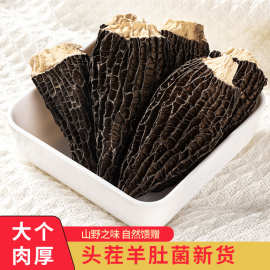 头茬羊肚菌干货非野生新货羊肚菌煲汤炖汤料包福利送礼批发零售