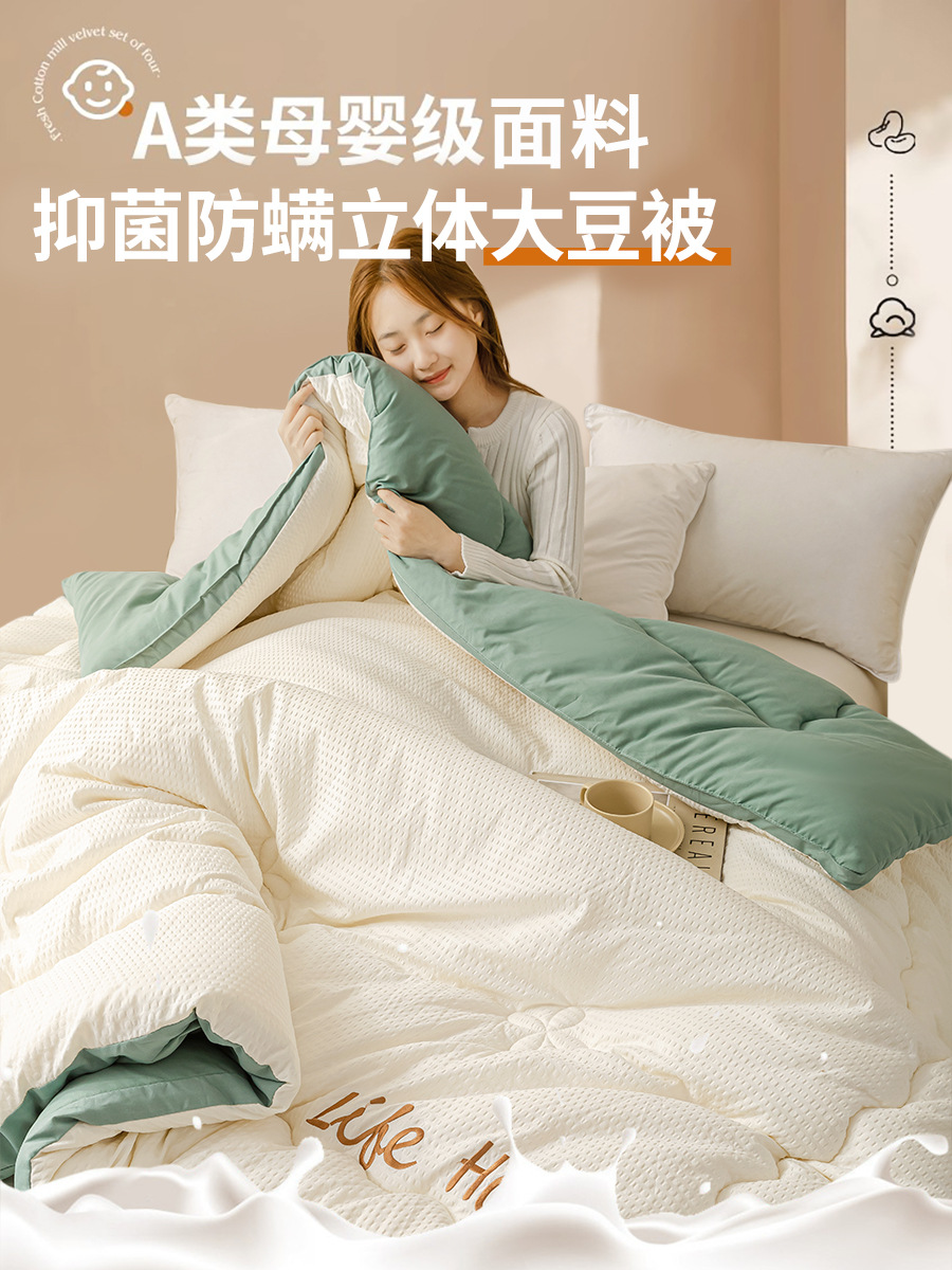 슈퍼 소프트 자수 와플 양면 콩 퀼트 아보카도 그린