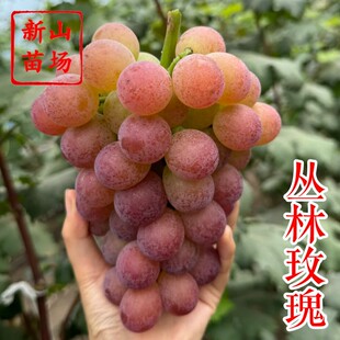 ������õ�����ј��硿 ����ڸкÿ���Ʒ�N���1��������