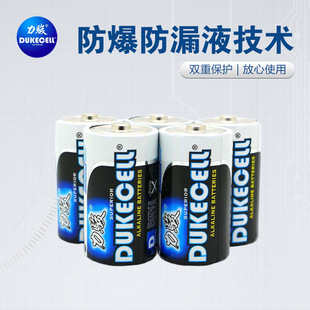 LR20 AM1無汞鹼性電池 1號電池手電筒  D 型號車位鎖批發