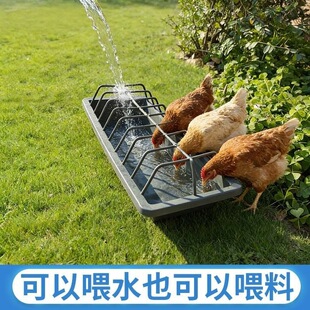 ����ʳ�u���Zʳ�� ����С���Bֳ�Bֳ��ͨ����ϲ۬F؛