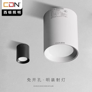 ���D����LED���_�����Ͳ���͏d�����^���컨��CEX9101C-A�O��