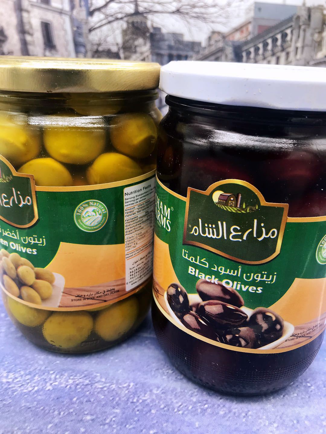 Syria Green Olives Black有核青橄榄 有核黑橄榄 即食橄榄果500g