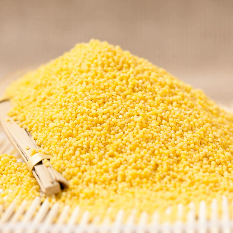 Желтое просо нового урожая, мелкозернистое желтое просо, цельные зерна, для послеродовой каши, оптовая продажа с фабрики, клейкое просо, 2.5kg упаковок, дропшиппинг