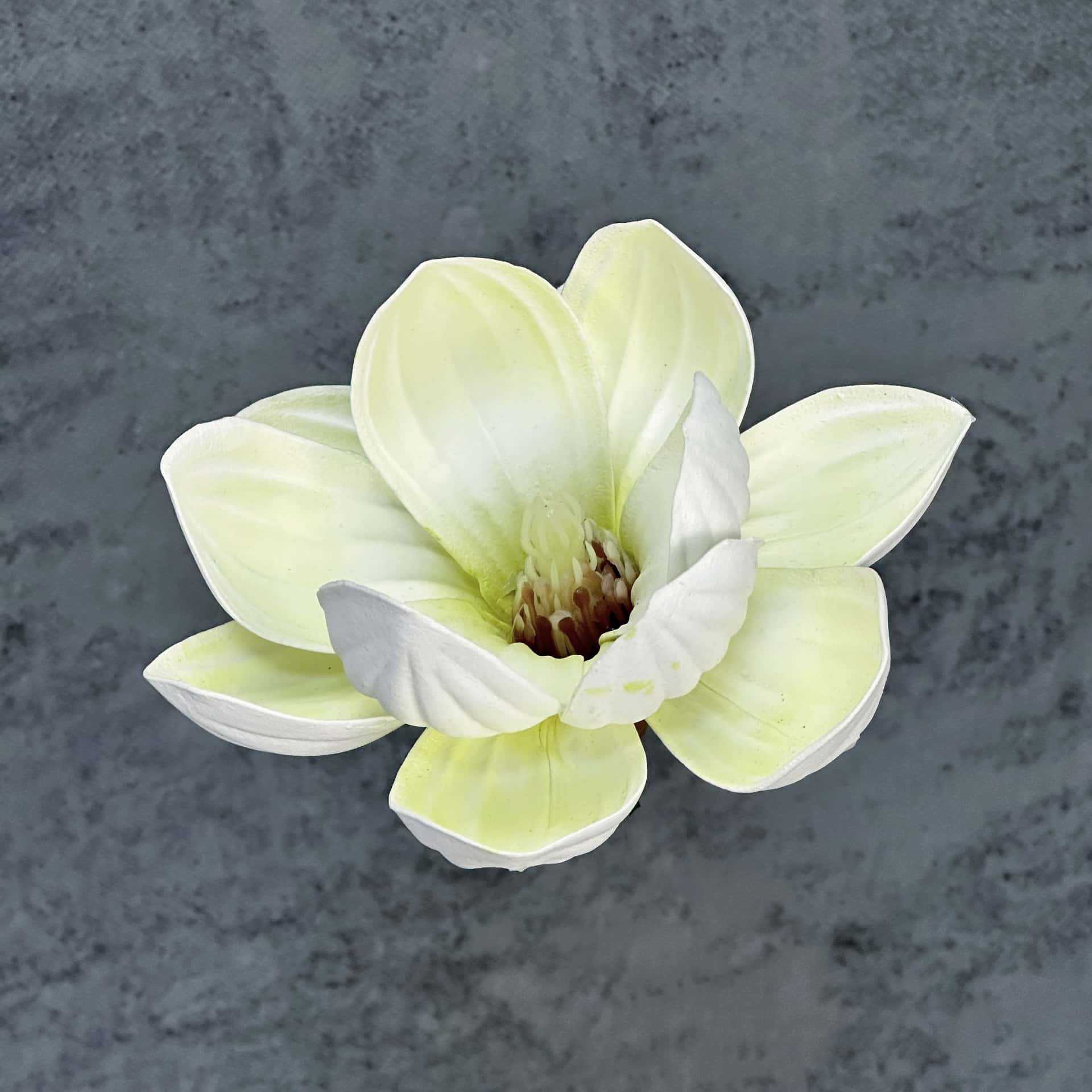 Flor de simulación transfronteriza EVA cabeza de magnolia 13cm tacto tocado kapok decoración decoración decoración flor falsa al por mayor
