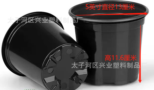 微信图片_20230619101350