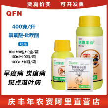 ˹Jչ40%ȷ·׷۲̿Ҳ~߲