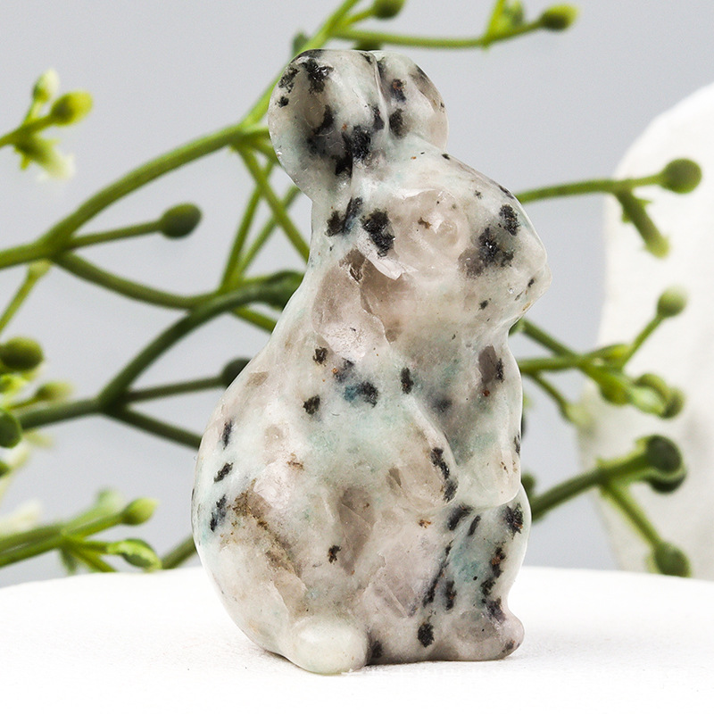 1.5 인치 천산 난초