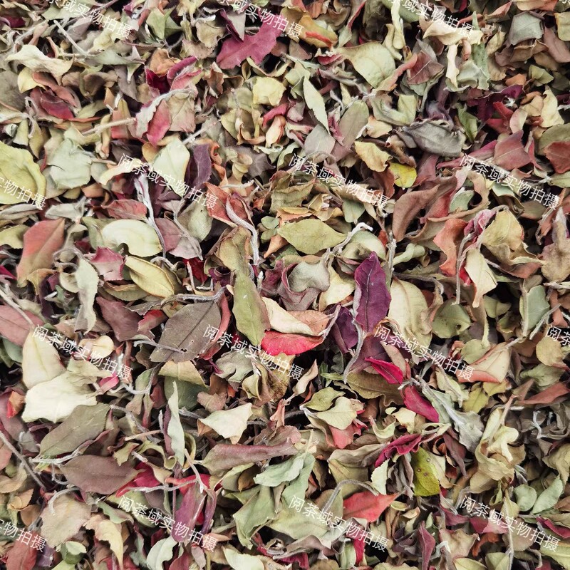 Early Spring 2026 Linjiang Daxueshan Yanzhi White Tea, Sun-Dried Wild White Loose Tea, Yunnan White Tea, Wholesale from the Source