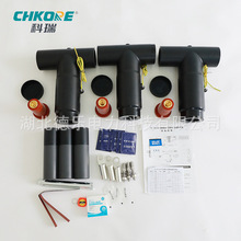 35KV������ʽT��ǰ����|�^ǰ�����֧���^��y�Wʽ����^