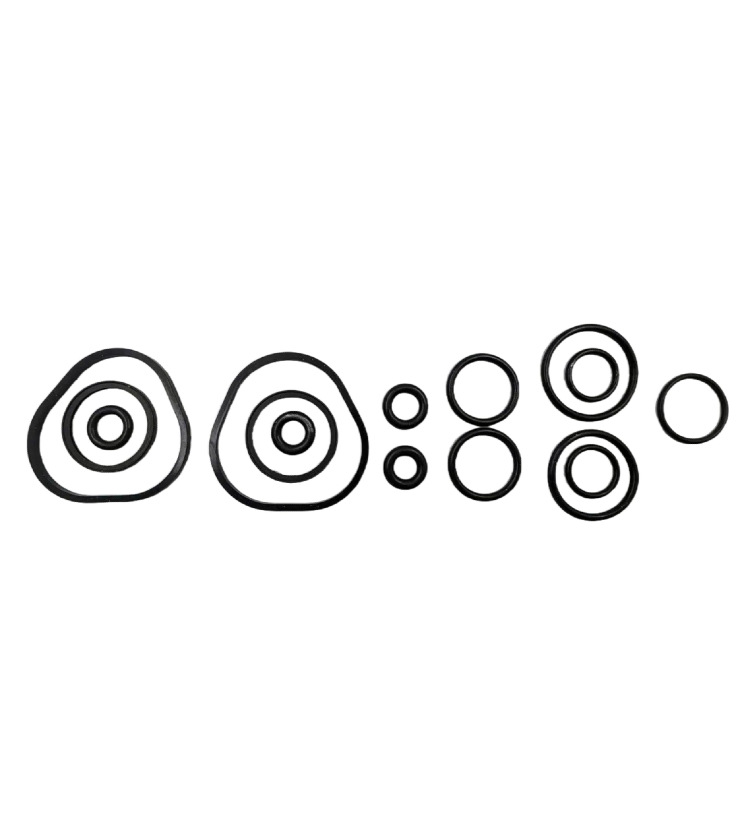 Bombardier Trailblazer 1000 Overhaul Kit Full Vehicle Gasket Kit Cam Am1000 Brp1000