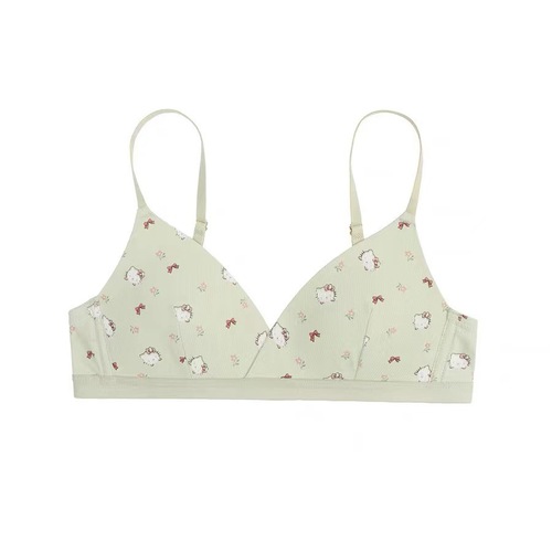 New style seamless girl underwear, no rims, female student sports triangle cup fixed cup, sweet, comfortable and versatile bra