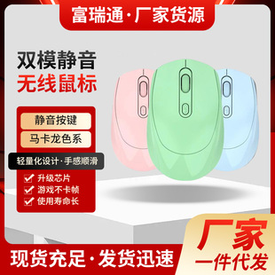 �S�����l�羳�o������{���ɳ���pģ�o���Α�����R����������