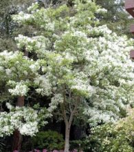 һ�����l��Ʒ�����С�Ϙ��������K�޽ӹ����Ԙ���䘶΢����