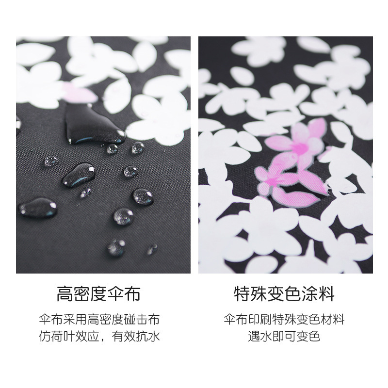 ˮɫɡ۵ڽ۵ϵӣ괴ɡ