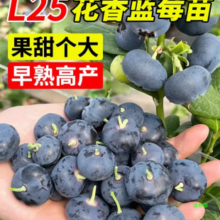 ���������҃��ͺ��ļ���ݮ܇���ӹ����ϱ����{÷�{ݮ�䎧����Y��