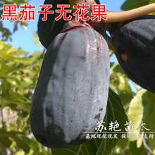 �����ӟo���������ش�o��������������ͥԺ���Ե����Ϸ������Nֲ