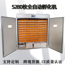 定制新款全自动孵蛋器家用养殖设备孵化器小鸡智能恒温大型孵化机