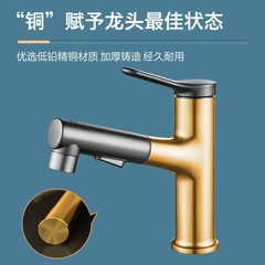 Pull-out Grey Cold and Hot Kitchen Bathroom Copper Sink Face Basin Adjustable Dual Outlet Shower Faucet