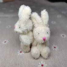 ë�q������޹���С̖�P��6cm�װ��Lë�ö��h������o�ϬF؛