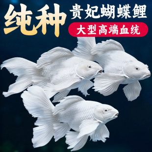 ̨���������^�p�~��ˮ�\���~���B�ͻ��F�����w�{���^������ˮ�~
