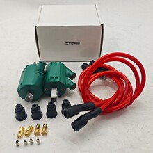 Dyna Ignition Coils 3 �Wķ�pݔ�� DC1-1 �� DW-300  GL 100
