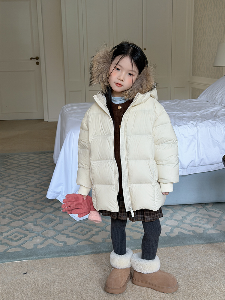 2025-11-23 094519.jpg