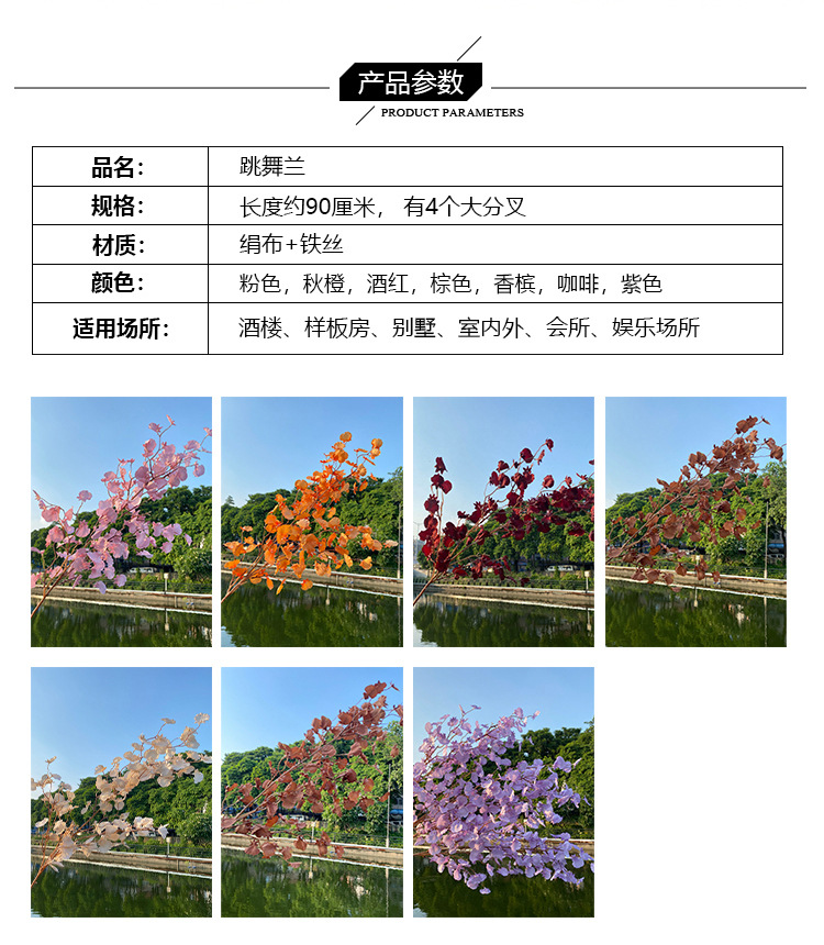 跳舞兰_02.jpg