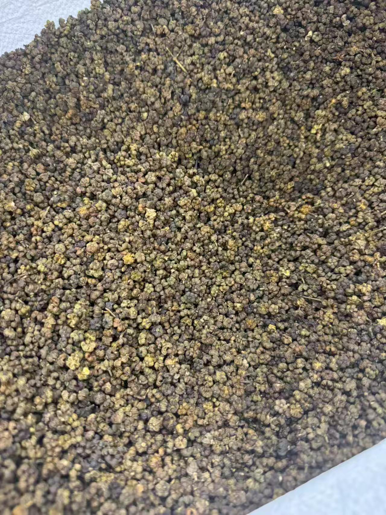 Evodia Fruit Wu Zhu Yu 1000g Bag Dried Jiangxi Herb for Culinary and Traditional Use specifications