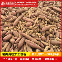 丽星薯类淀粉设备可提取红薯、土豆、洋芋、葛根等作物