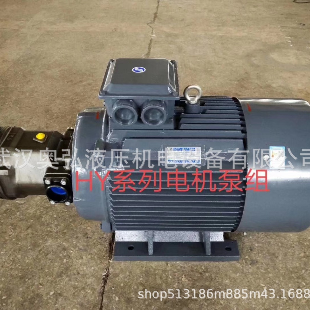 维修HY-80Y-RPHY100Y-RP.HY125Y-RP江苏恒源油泵电机组砖机液压泵