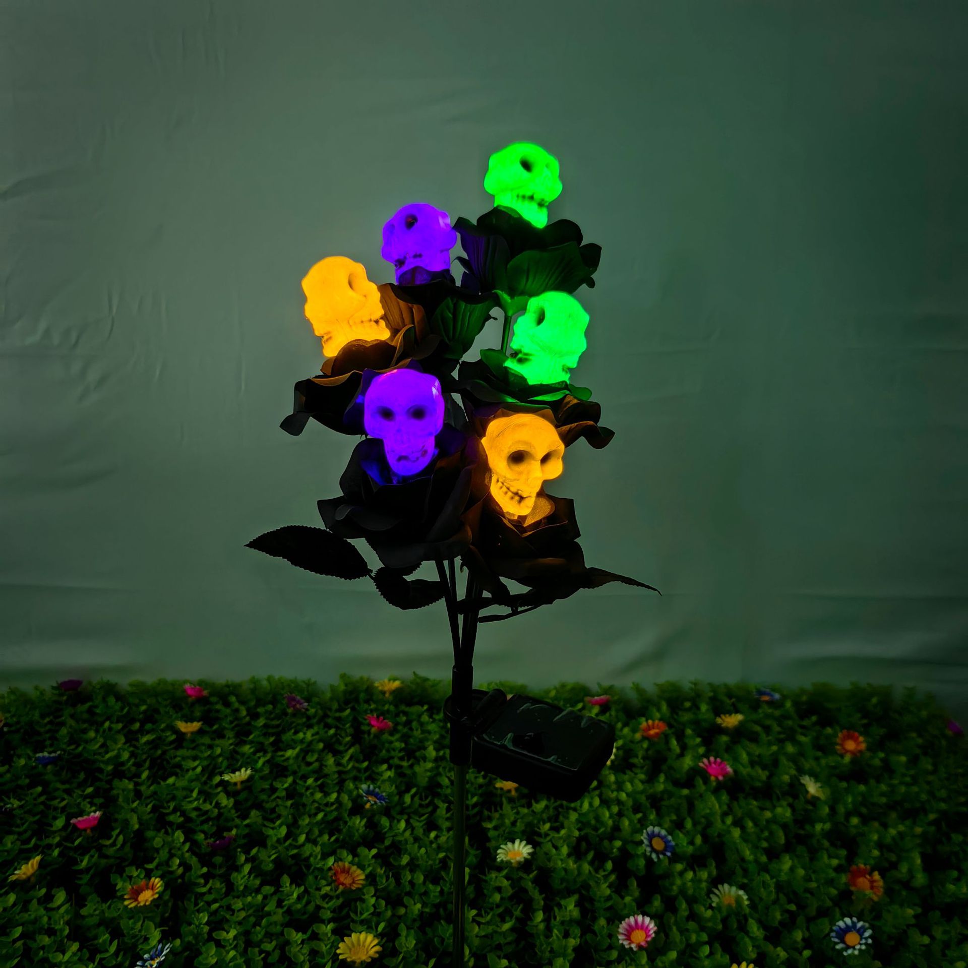 6 장미 두개골 두개골 혼합 빛 (녹색 보라색 따뜻한)