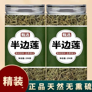 半边莲草药中药材正品半边连新鲜干货瓜仁草急解索细米草非野生