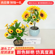 ���տ���K�߼��з��滨�҃����b��Ĕz�����zӰ���߻�c�ҾӔ[��