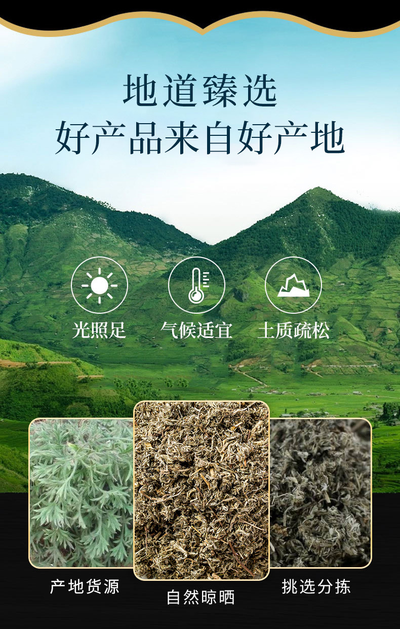 Yin Chen (Artemisia capillaris) — Dried Yin Chen Herb, 500g Natural Air-Dried overview