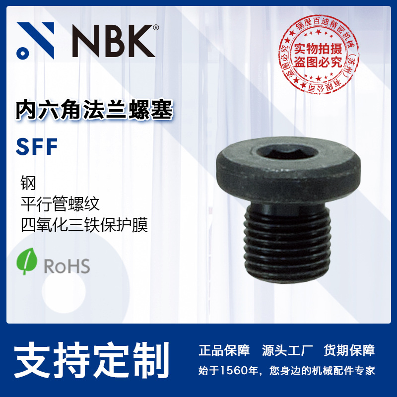 NBK SFF内六角法兰螺塞 平行管螺纹四氧化三铁处理 机械密封螺塞