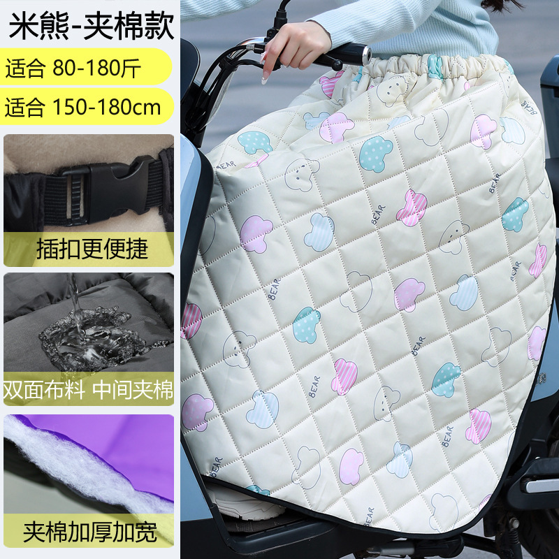 電気自動車の防風は冬に強化されました。|undefined
