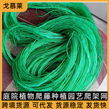 植物爬藤网园艺网  爬藤网尼龙网  种植网搭架网